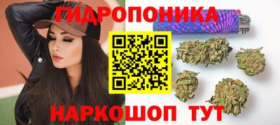 метадон Аргун
