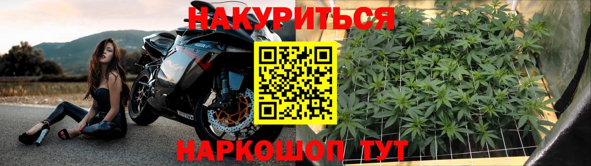 Шишки марихуана сатива  Бошки Шишки сатива  Вход с VPN  Баксан  Канабис план  МАРИХУАНА марихуана 